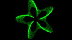 酷科学:用激光束制造微观3D图案